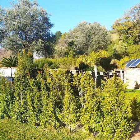 Lägenhetshotell Kasale